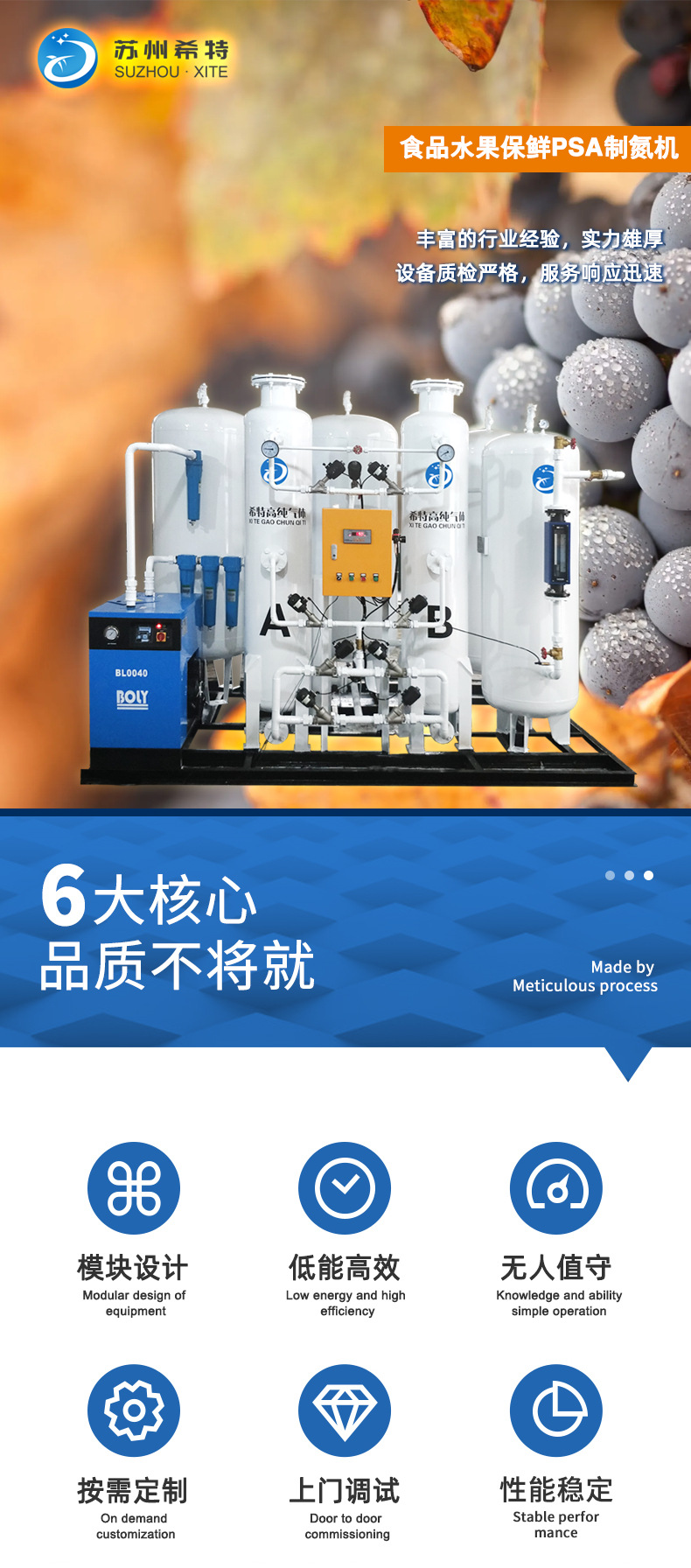 Hấp phụ áp suất thay đổi (PSA) máy tạo nitơ wholesale XITE GAS